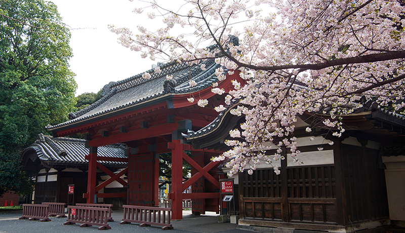 出國(guó)留學(xué) 日本留學(xué)