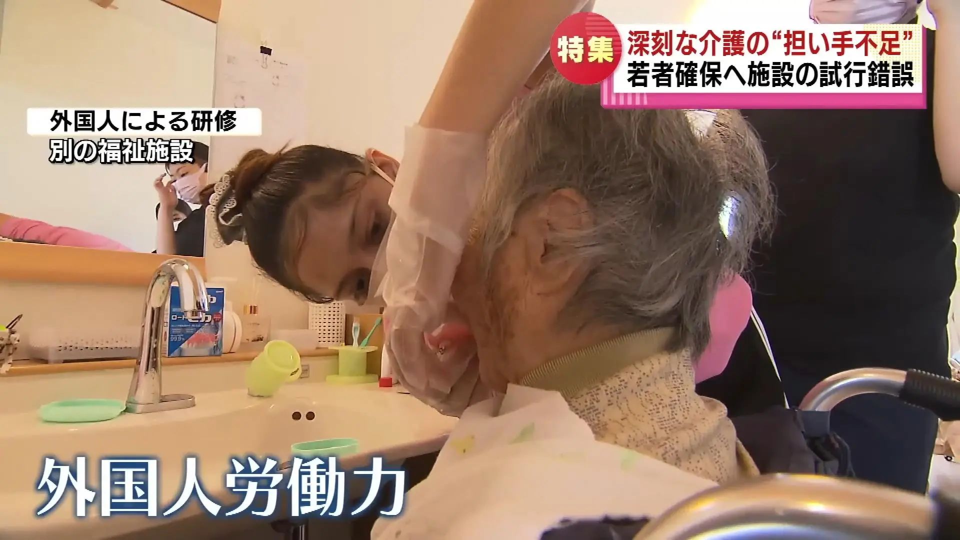 21世紀(jì)佳益出國(guó)留學(xué) 21世紀(jì)佳益出國(guó)留學(xué)